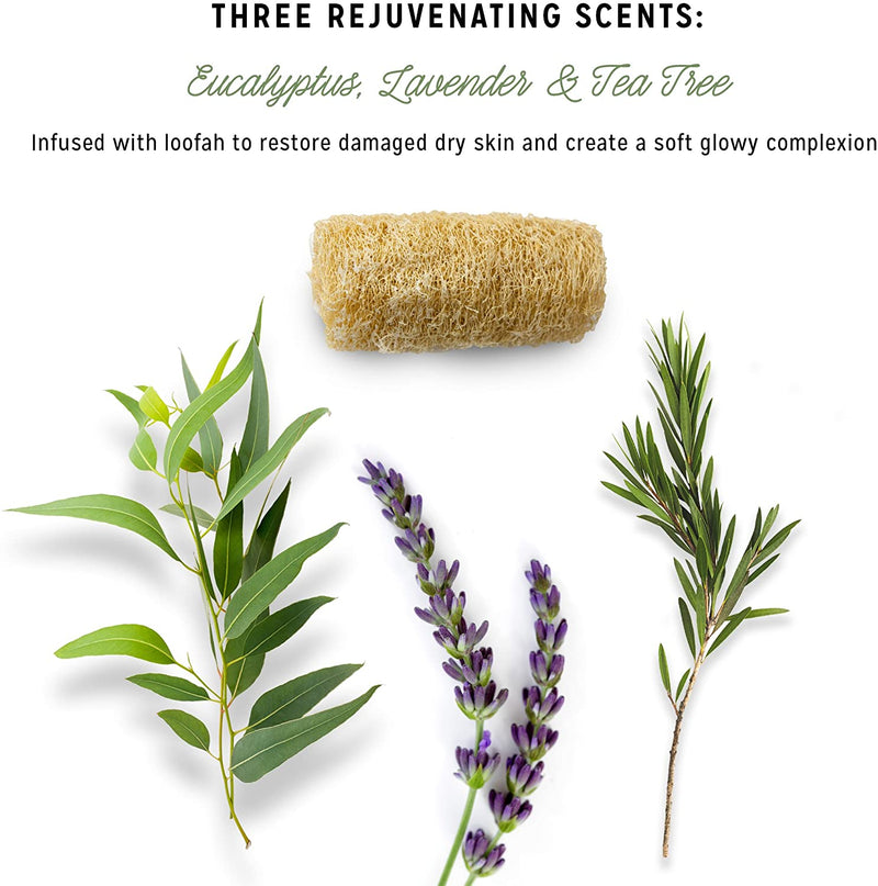 tea tree eucalyptus lavender Tea Tree + Lavender + Eucalyptus Luffa Soap Set – Calily Life